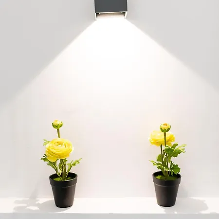 アパート Centro *