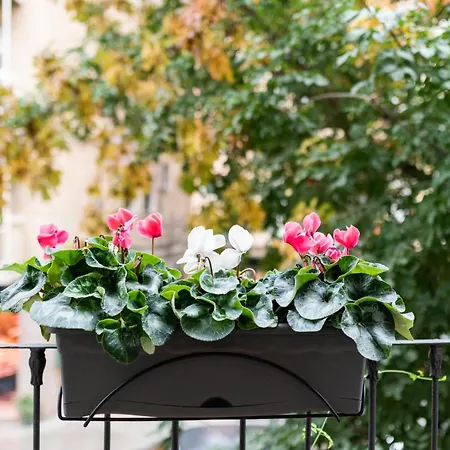 アパート Centro グラナダ