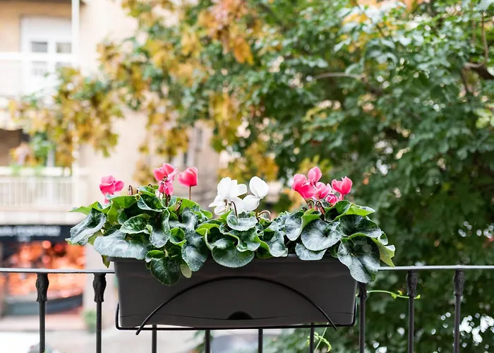 Apartmán Centro Granada